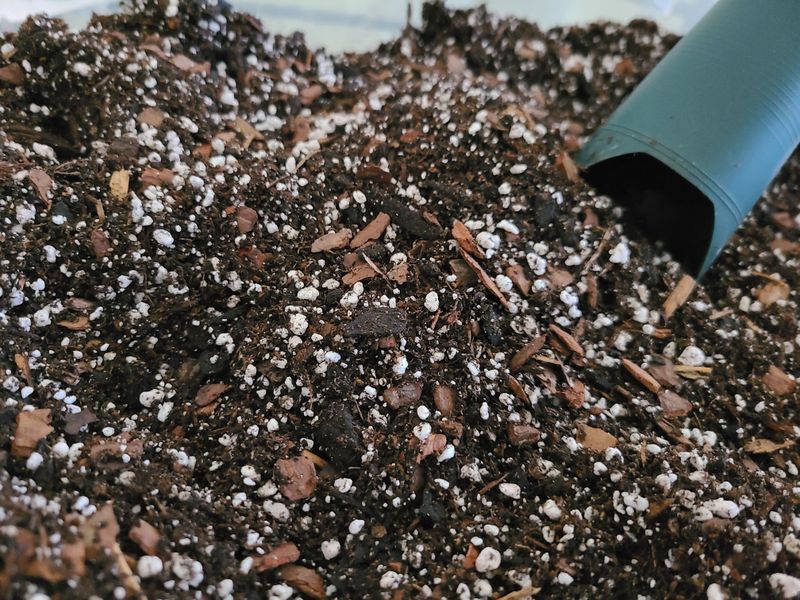 Prepare Well-Drained Soil