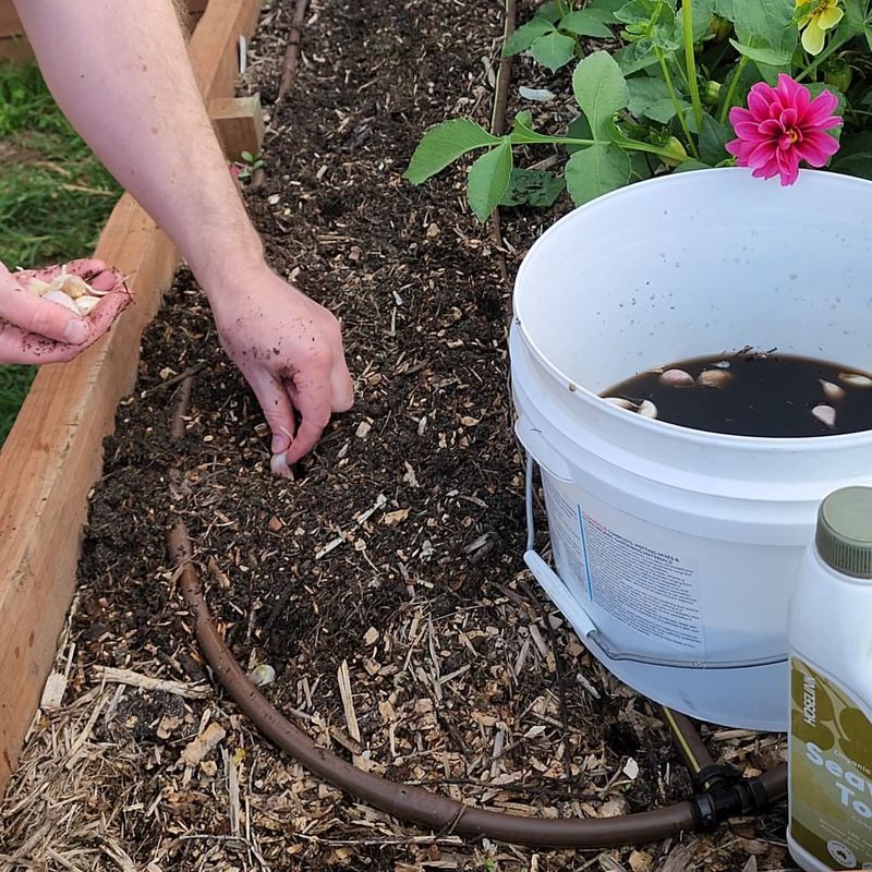 Prepare Well-Draining Soil