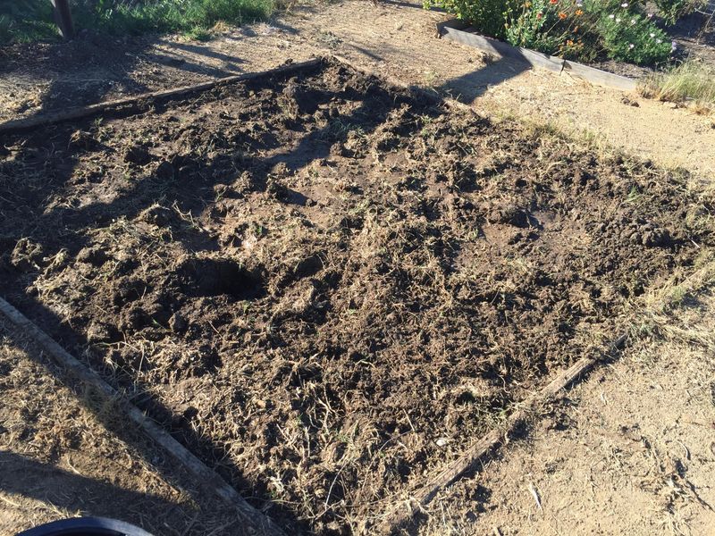 Prepare The Soil Properly