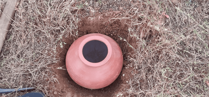 Ollas: Ancient Desert Watering Technique