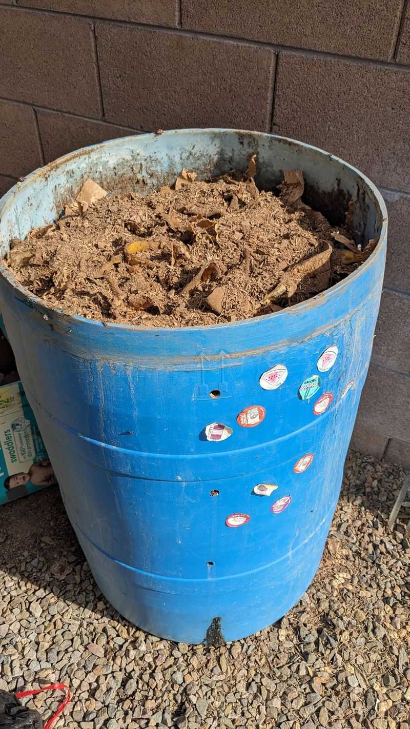 Compost Kitchen Scraps