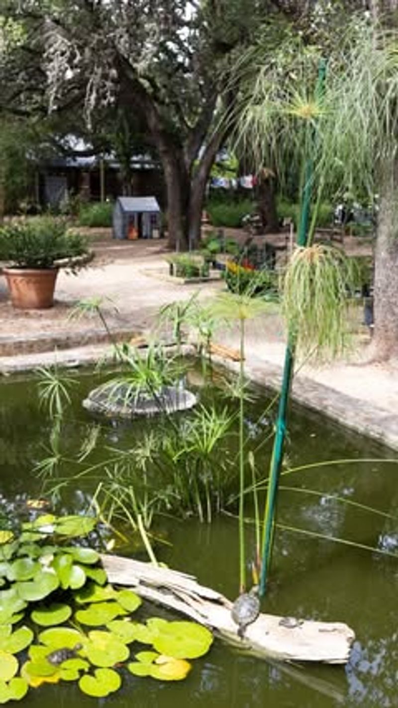 Wildlife Watering Stations