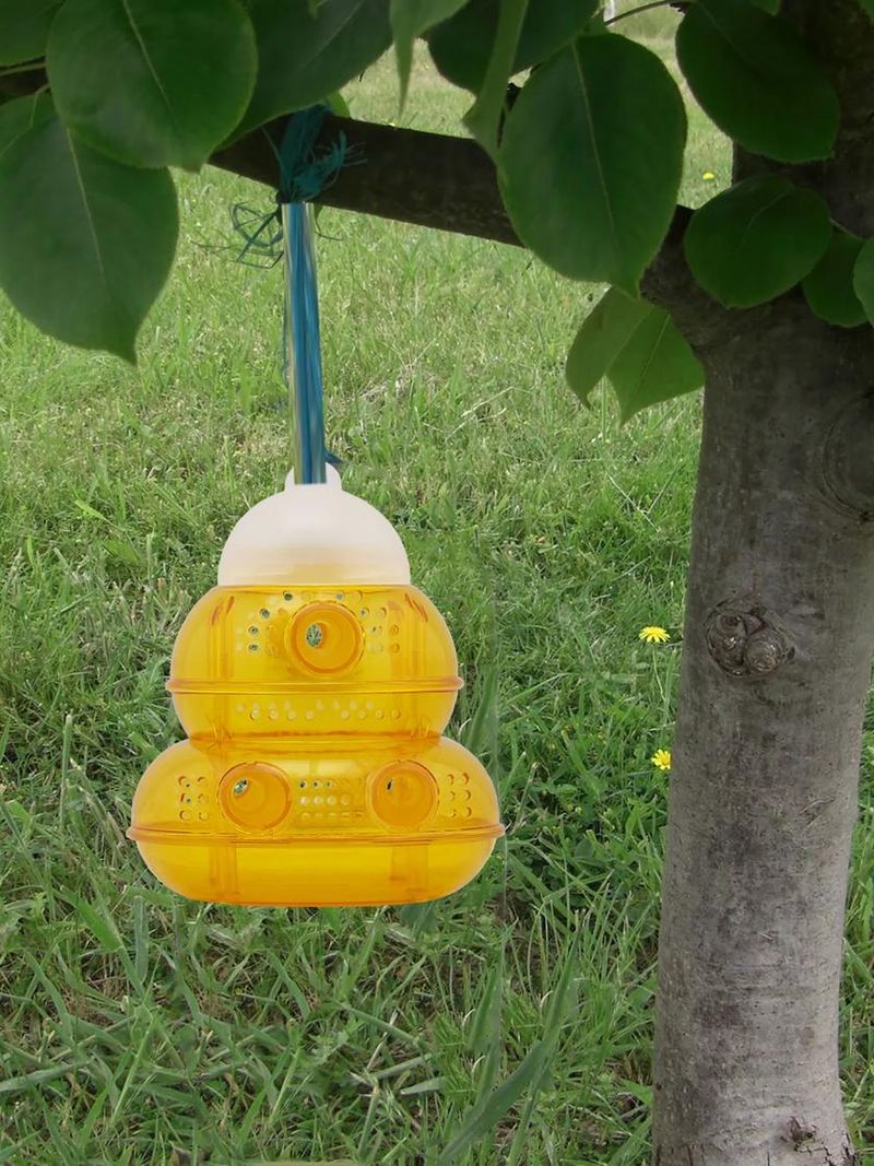 Hang Commercial Yellow Jacket Traps