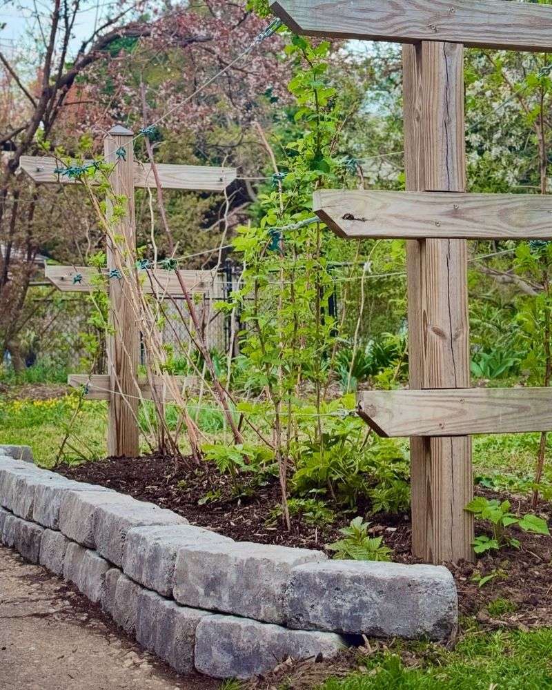 Build Storm-Ready Trellises
