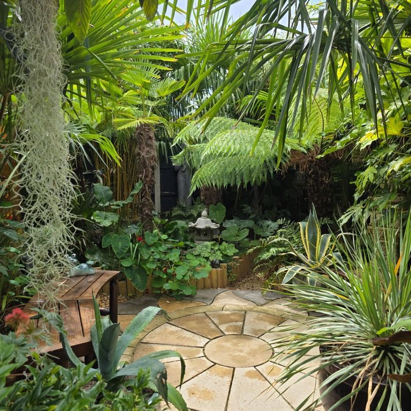 Tropical Rain Garden