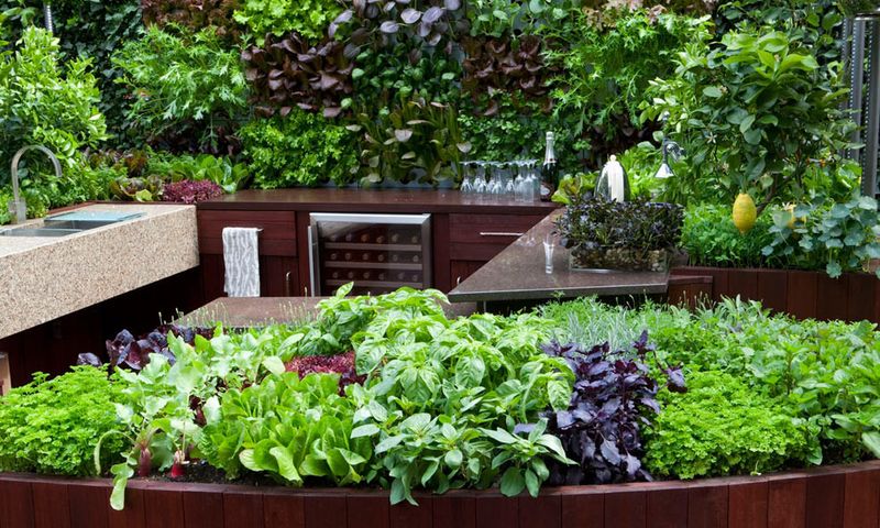Edible Landscaping That Pulls Double Duty