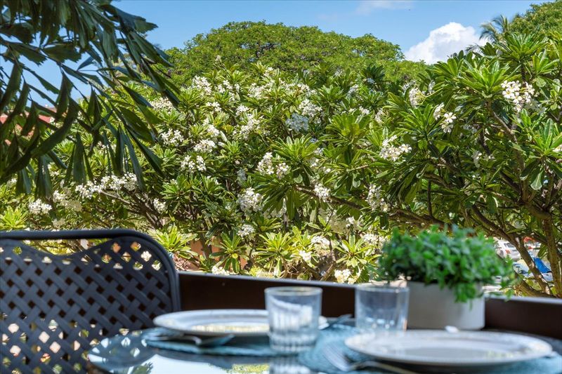 Reading Nook Surrounded By Fragrant Plumeria Trees