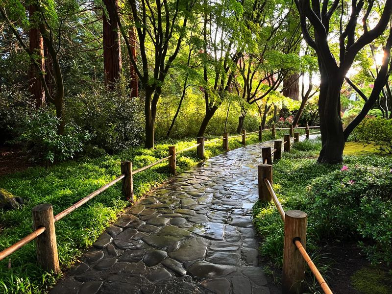 San Francisco Botanical Garden