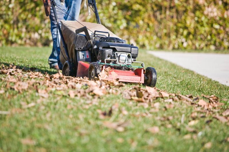 Mulching Saves Time And Benefits Your Lawn