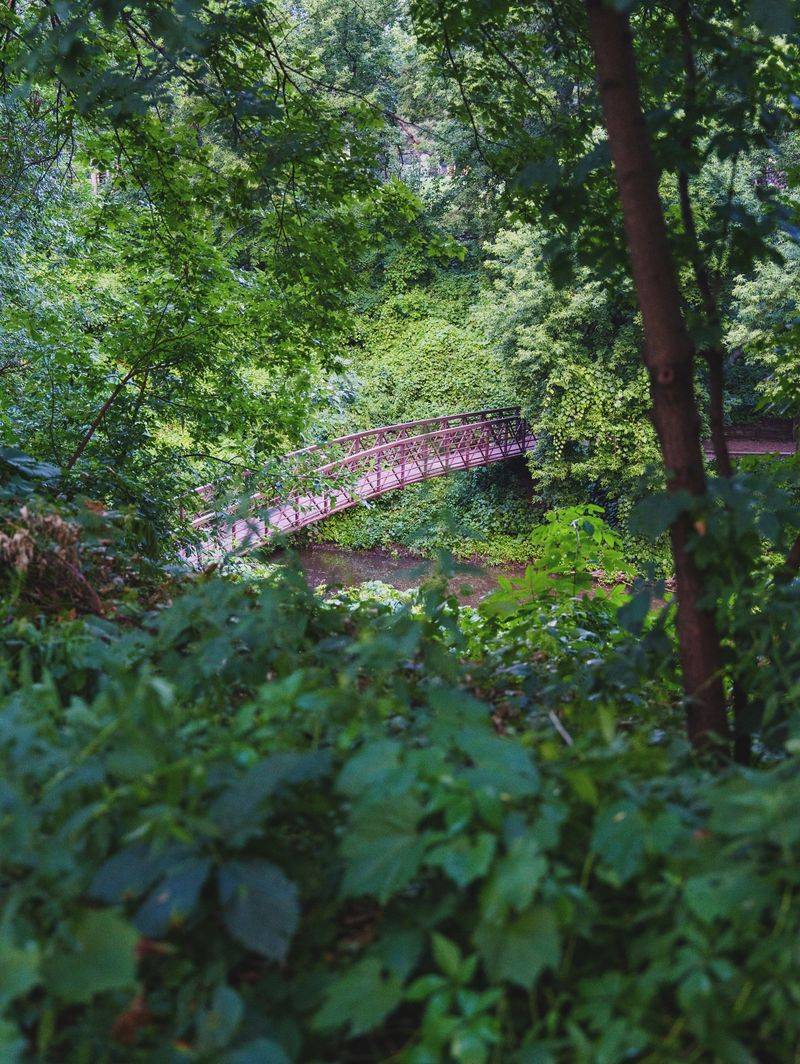 Enger Park Tower Gardens