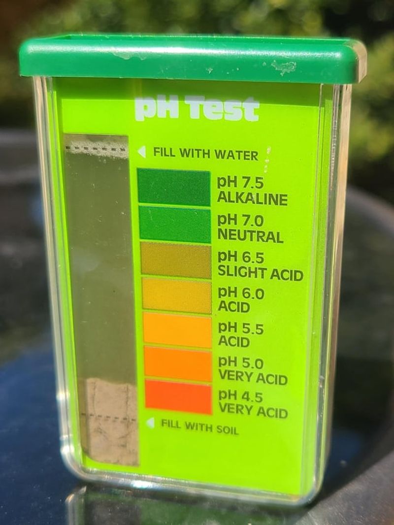 Check Your Soil Quality