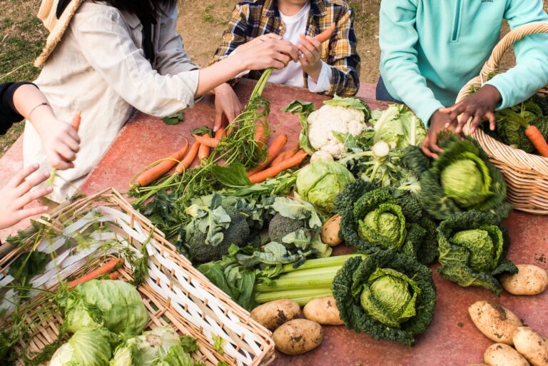 garden to table vegetables