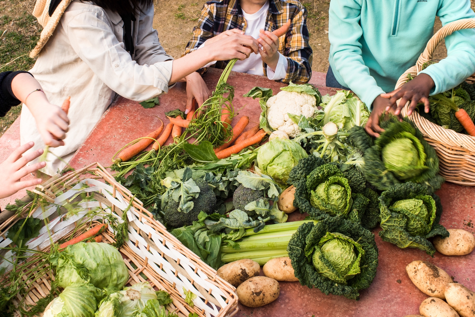 Simple Steps To Grow Vegetables For A True California Garden-To-Table Experience
