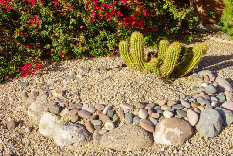 Desert style decorative xeriscaped (featured image)