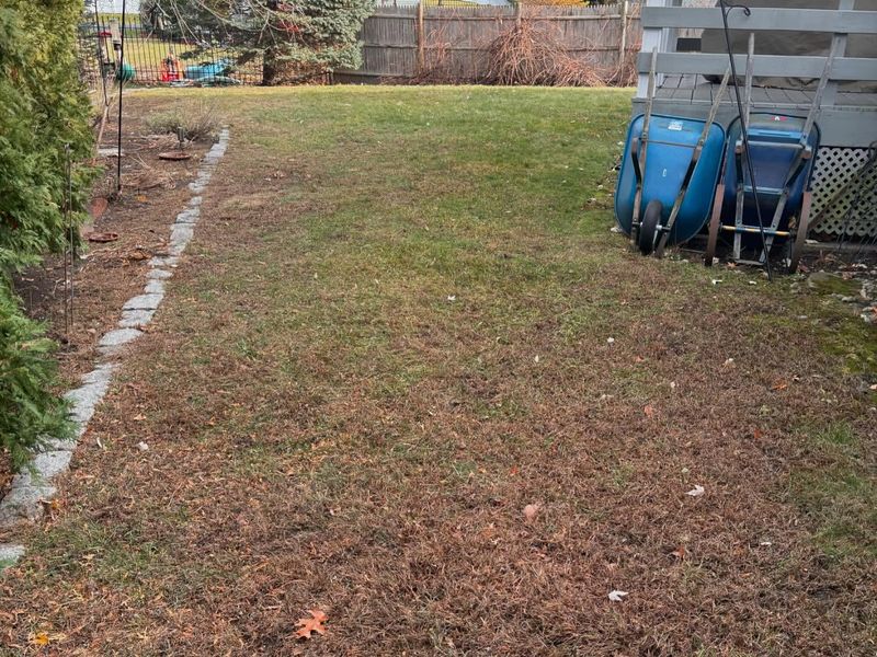 Rushing Fall Cleanup