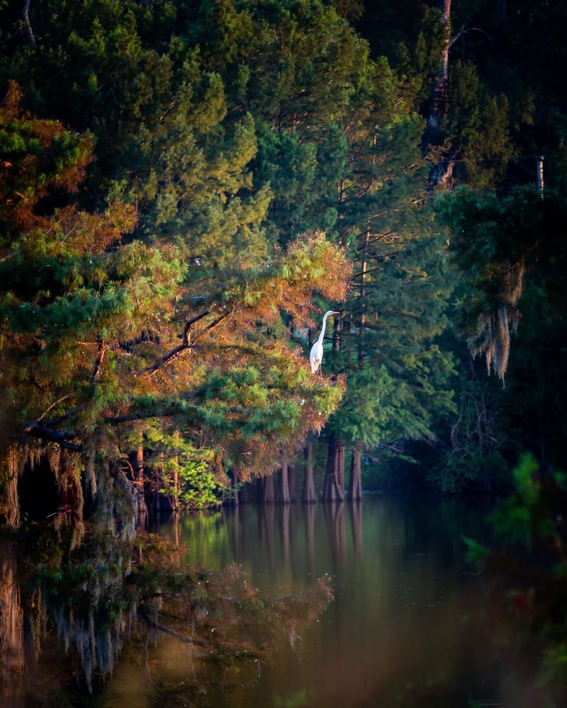 Noxubee National Wildlife Refuge