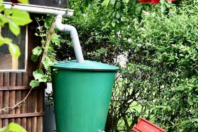 back garden with rain water harvesting equipment