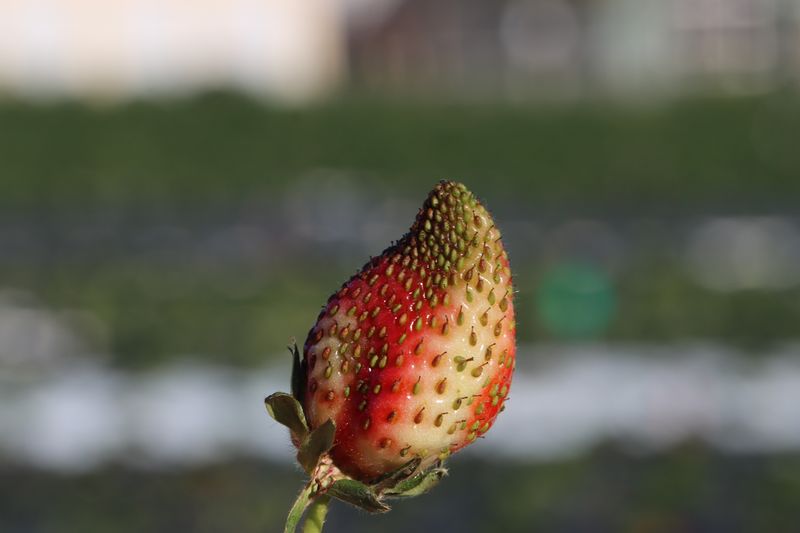 Water Management Before Ground Freeze
