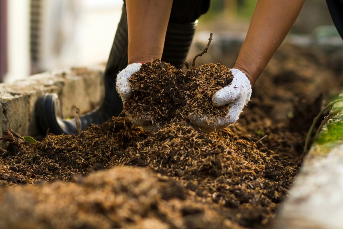 Soil Fixes Pennsylvania Gardeners Use In Fall For Better Spring Planting
