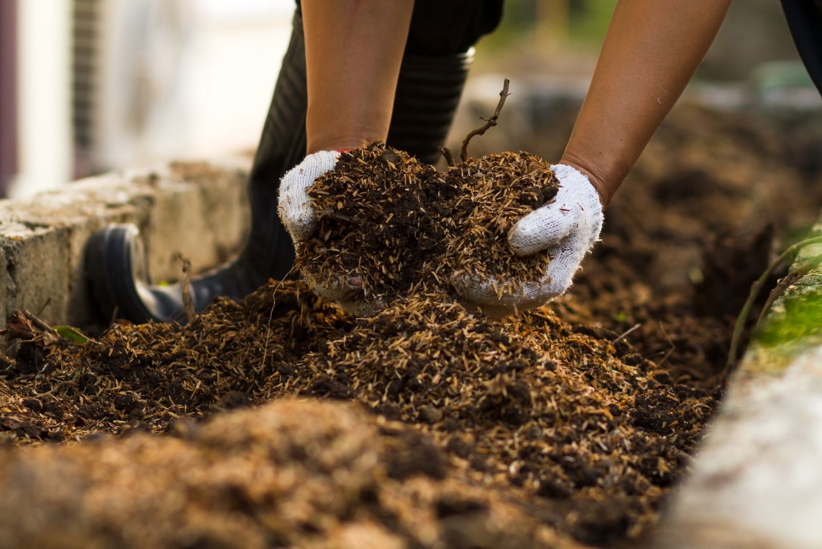 Soil Fixes Pennsylvania Gardeners Use In Fall For Better Spring Planting