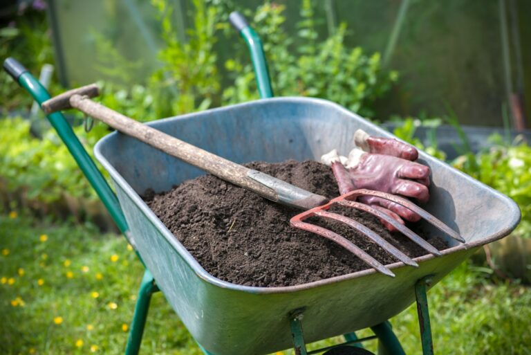 Pitch fork and gardening gloves in wheelbarrow full of humus soil