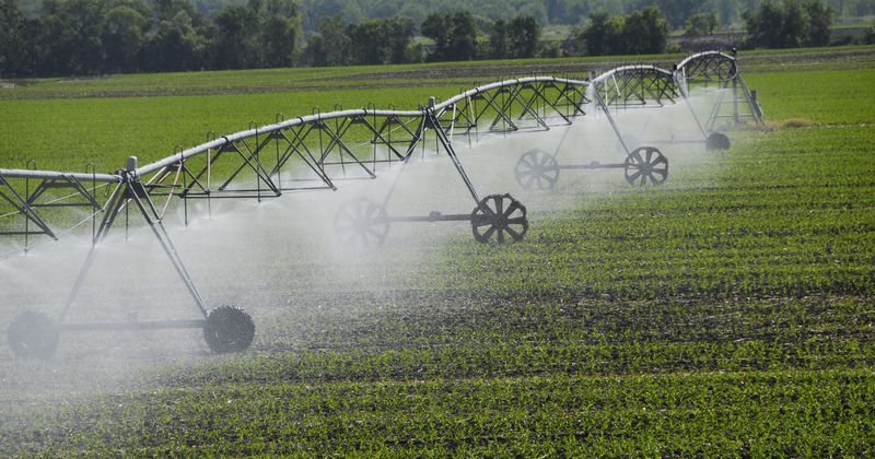 Watering Methods That Work In Kansas Heat