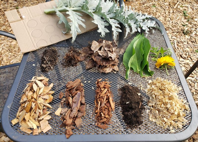 Mulching Techniques Save Plants
