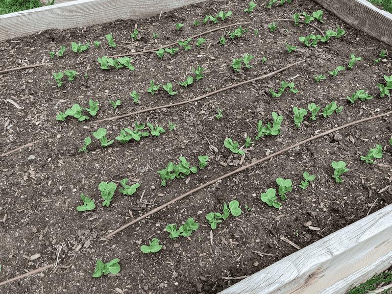 Water Management