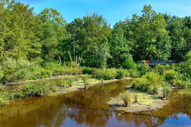 Adkins Arboretum's Native Plant Wonderland