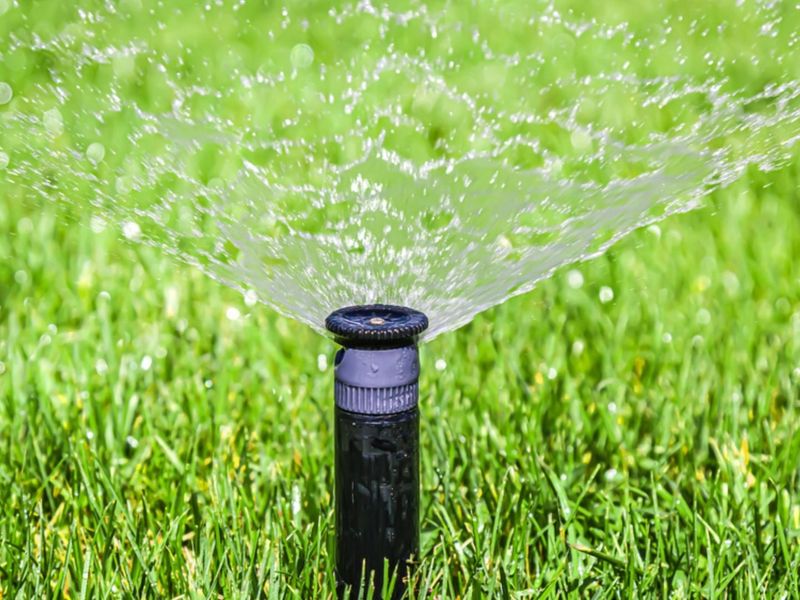 Winterize Irrigation