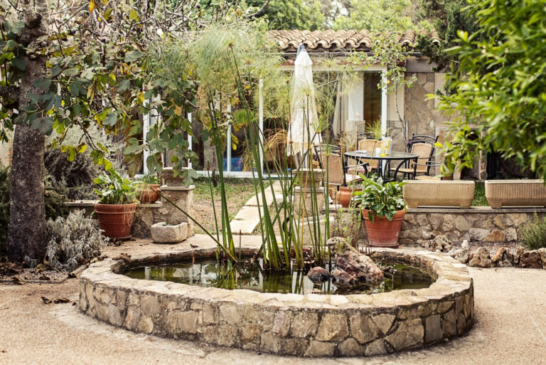 garden (featured image)