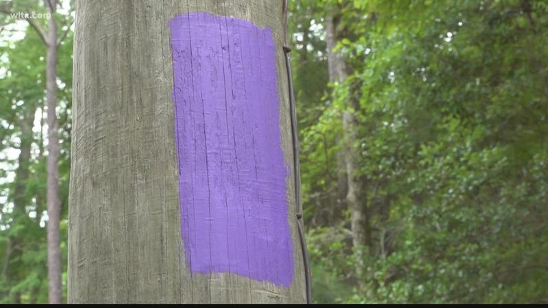 Practical Alternative To Signs