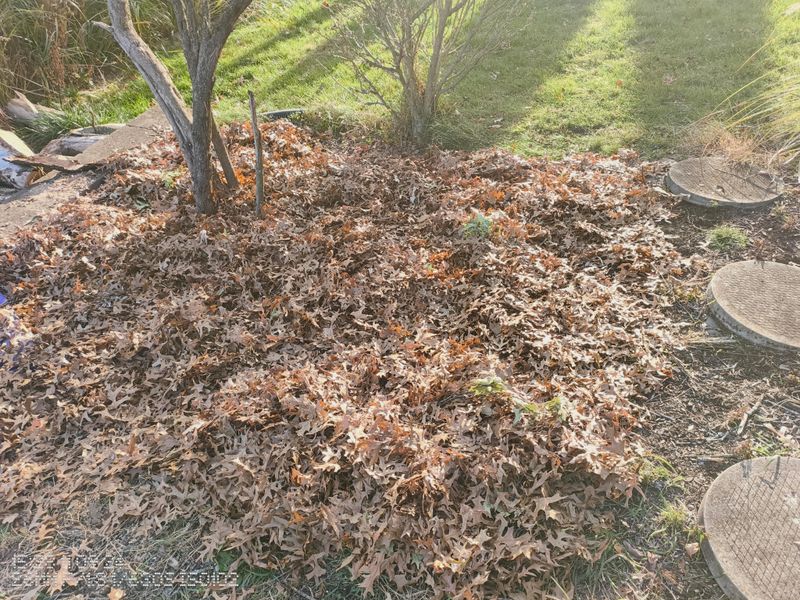 Human-Made Debris