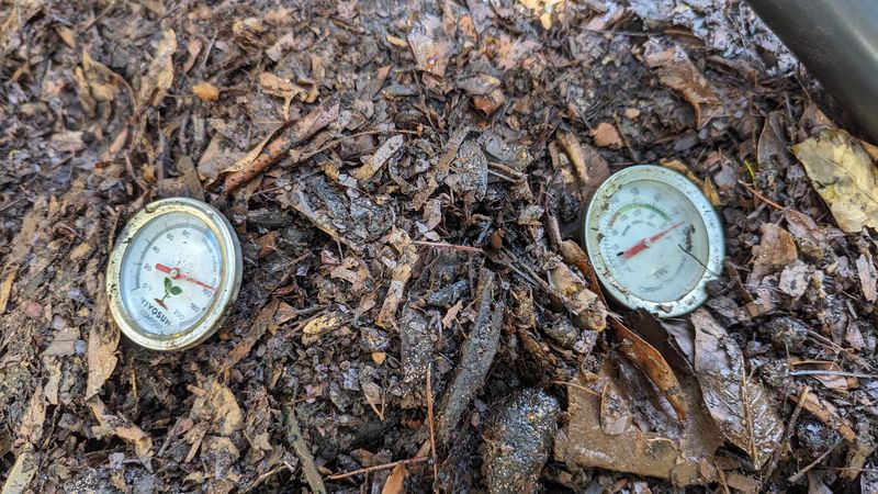 Monitor Night Temperatures Before Major Cutbacks