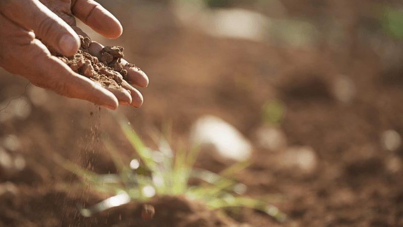 Soil Preparation For Grain Success