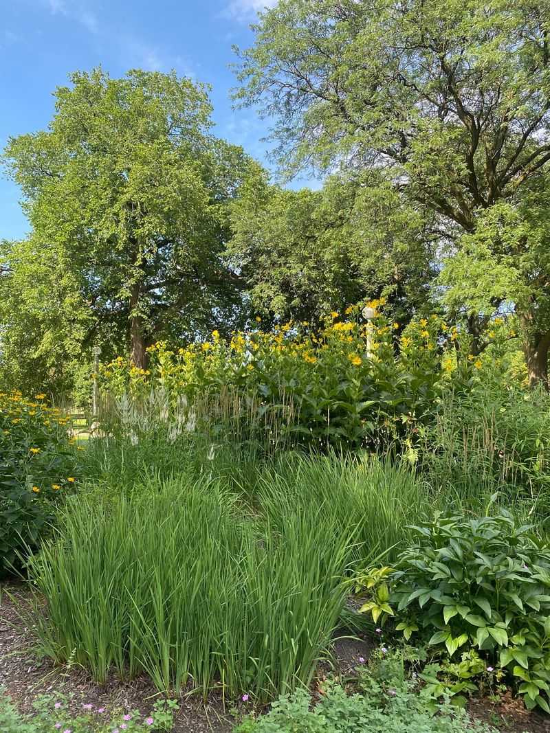 Lincoln Park, Chicago