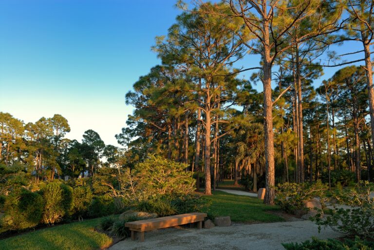 Morikami Japanese Gardens