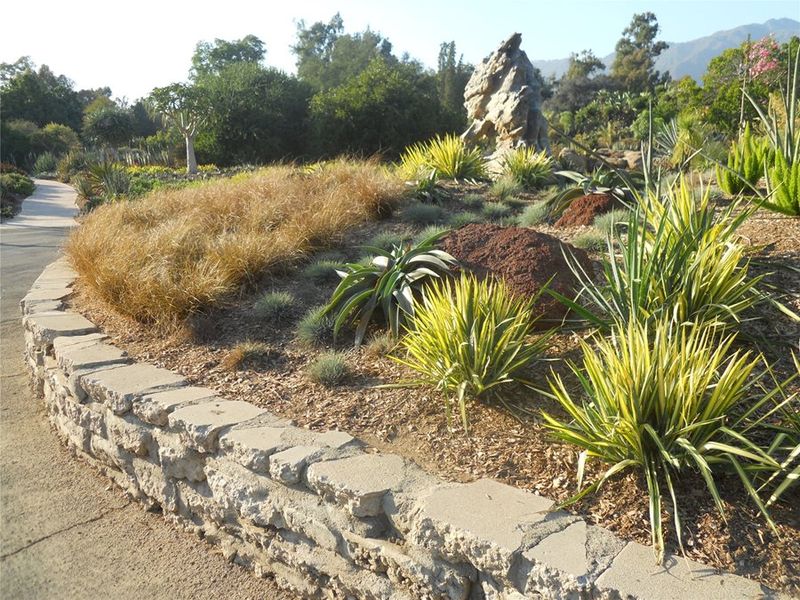 Succulent Tapestries For Fire-Prone Areas