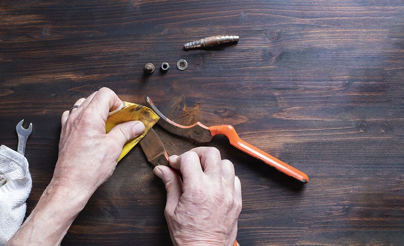 Clean And Sharpen Garden Tools