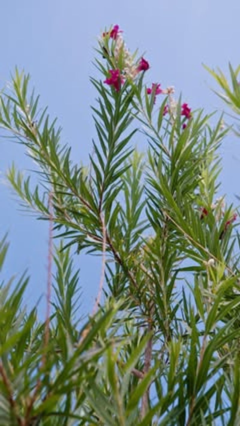 Protective Microclimate