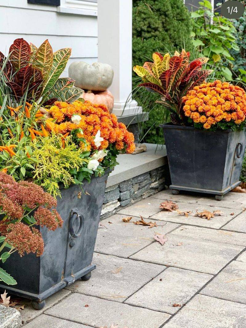 Create A Fall Container Garden