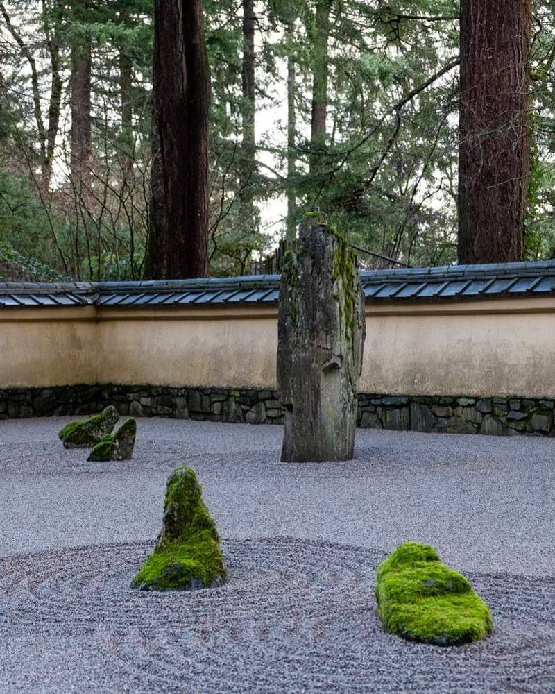 Mesmerizing Sand And Stone Garden
