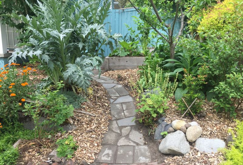 Neighborhood Food Forests Create Shared Abundance