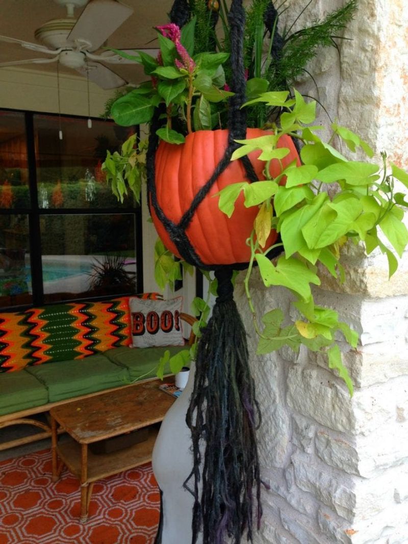 Harvest Moon Hanging Baskets
