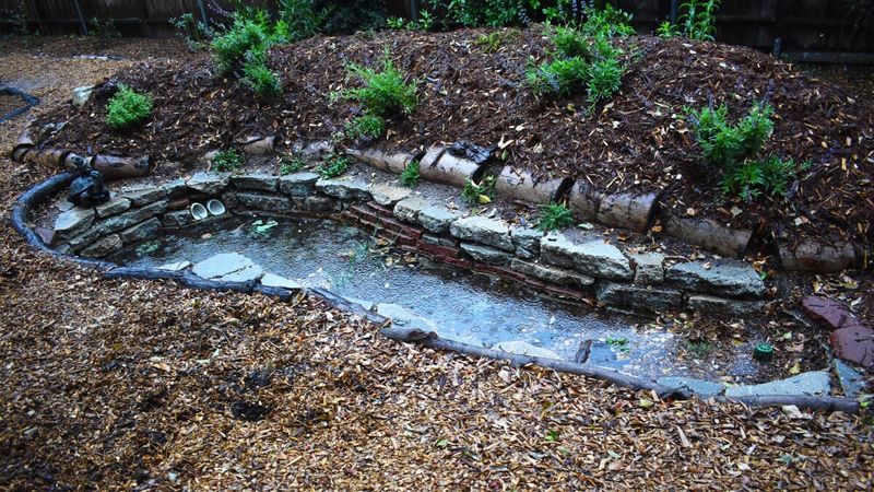 Berms And Swales Capture Precious Rainfall