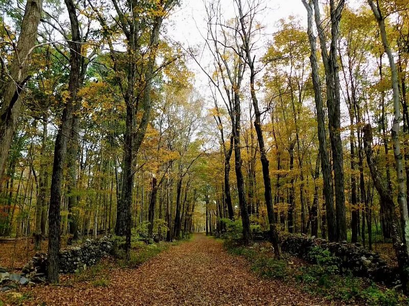 Kettletown State Park's Lost Waterfall