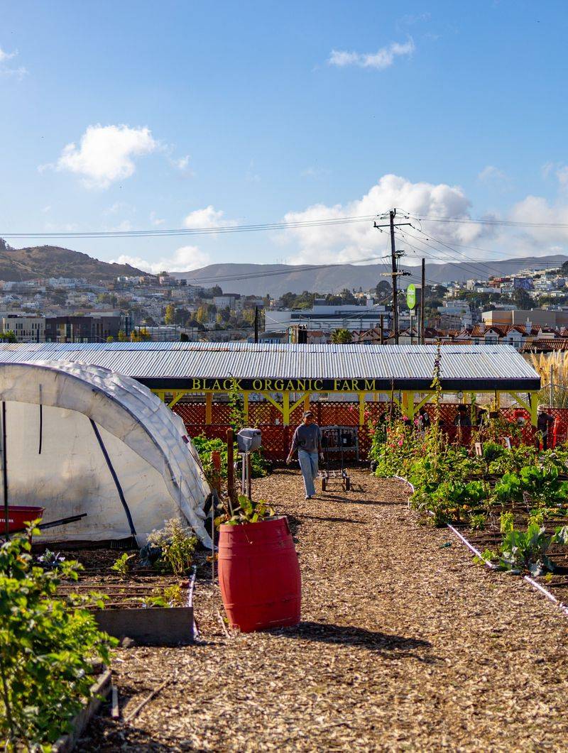 Bayview-Hunters Point, San Francisco