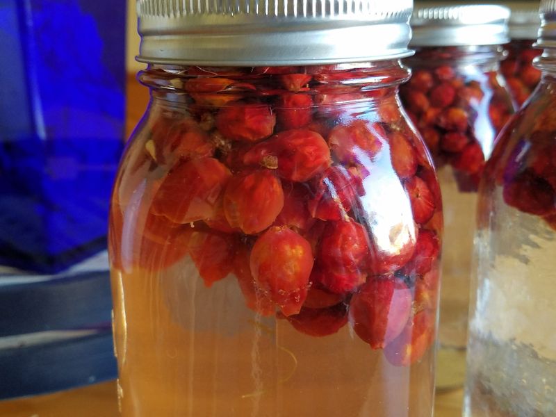 Zesty Rose Hip Vinegar