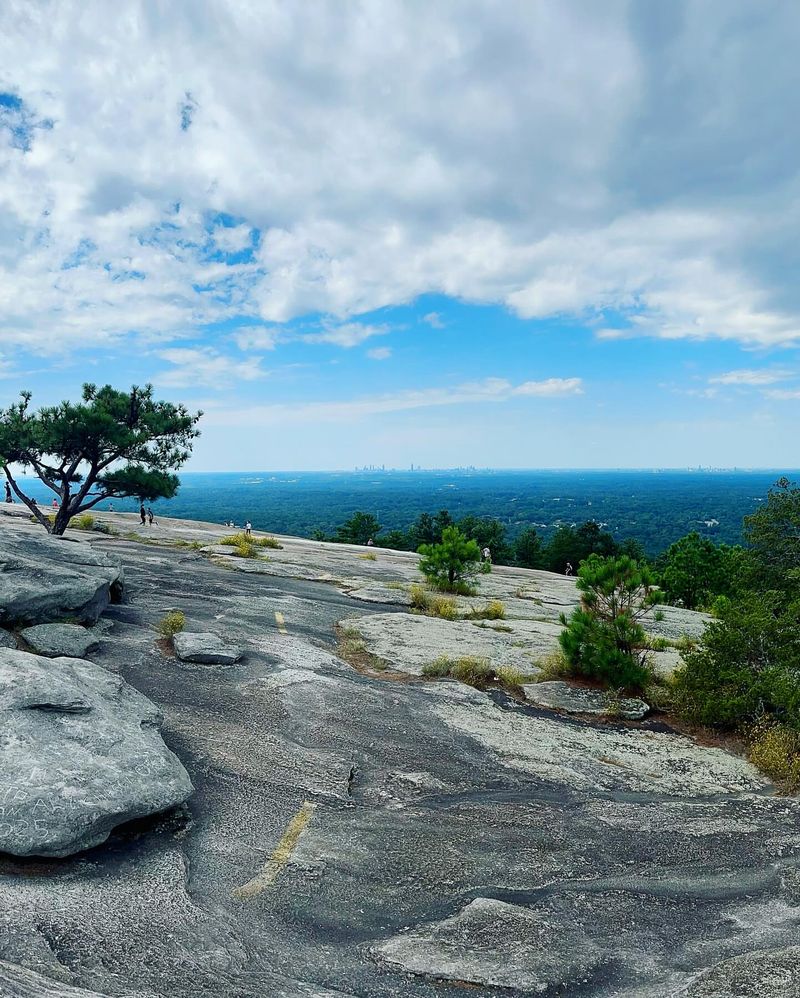 Panola Mountain State Park