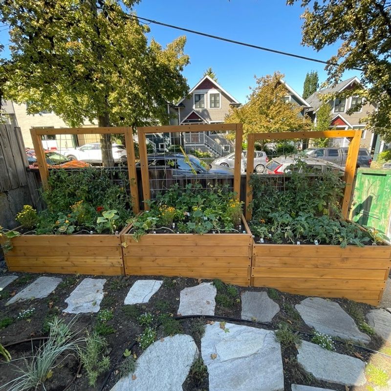 Front Yard Vegetable Gardens